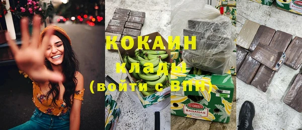 крисы Богданович