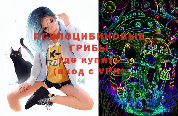 крисы Богданович